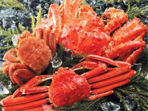 Hokkaido king crab gourmet tour