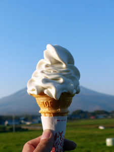 Hakodate Onuma Soft cream and ice cream local milk sightseeing tour,